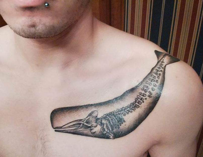Значение татуировки, изображающей кита. Значения животных талисманов Татуировка кит у мужчин